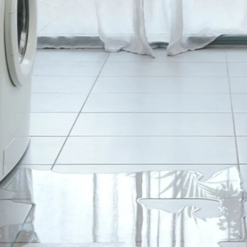 Appliance Leak Cleanup in Horicon, WI