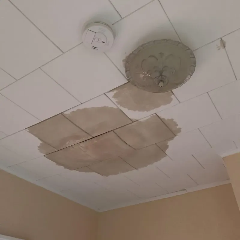 Ceiling Water Damage Repair in Horicon, WI