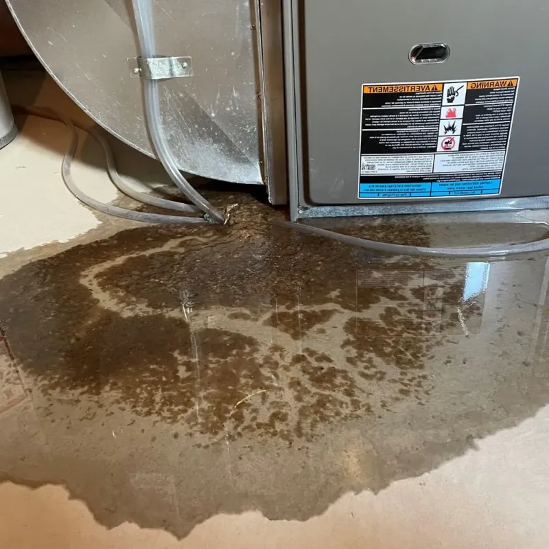Pipe Burst and Leak Restoration in Horicon, WI