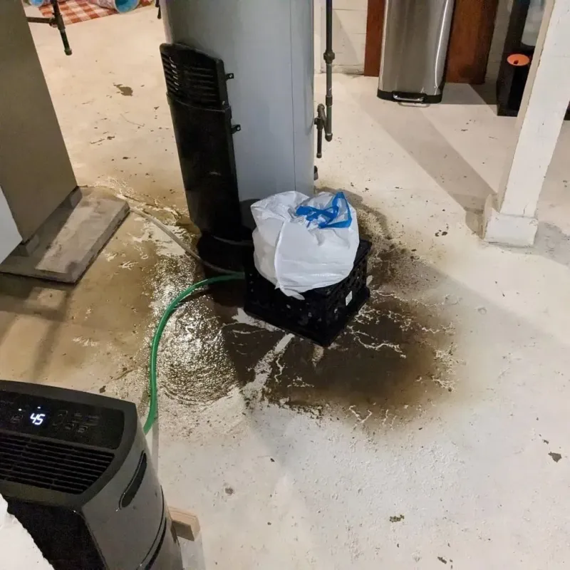 Sewage Backup Cleanup Service in Horicon, WI